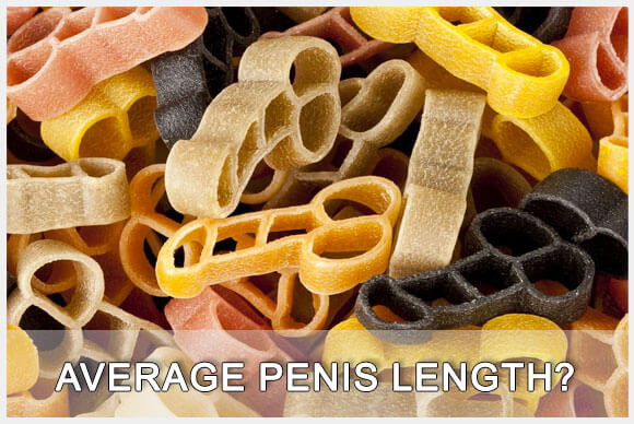 Average Penis Length? What is Normal?