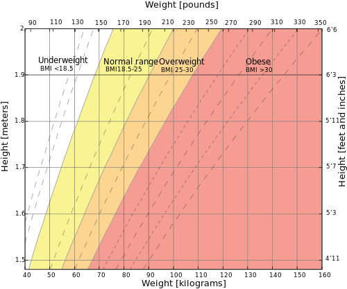 Testosterone Levels and Body Weight