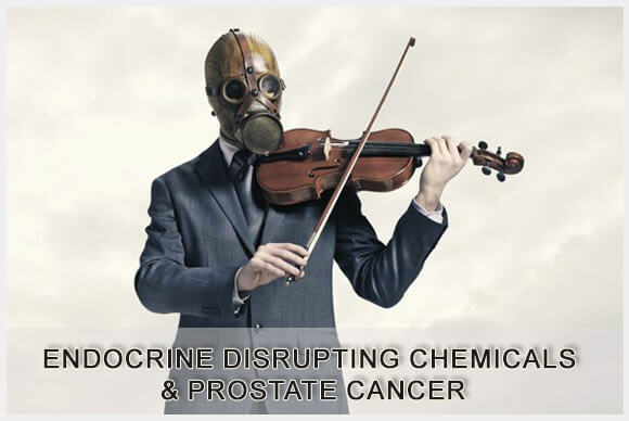 Endocrine Disrupting Chemicals & Prostate Cancer