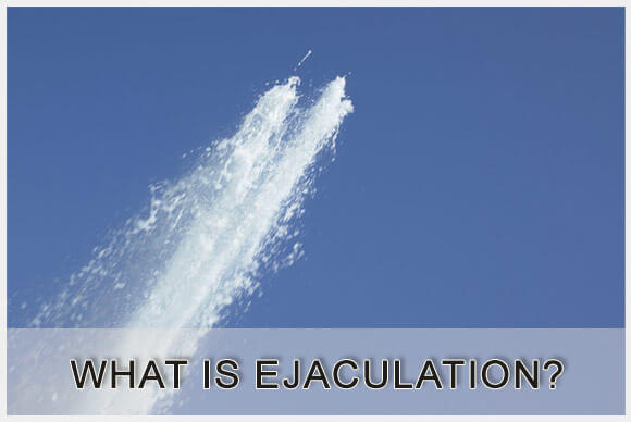 What is Male Ejaculation?