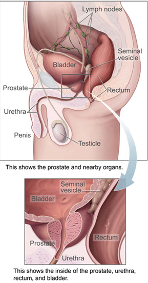 Ejaculation