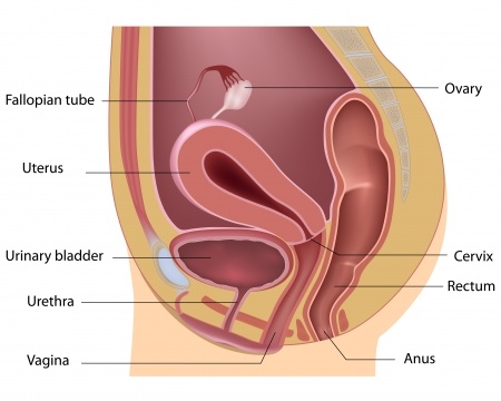 Urethral Syndrome