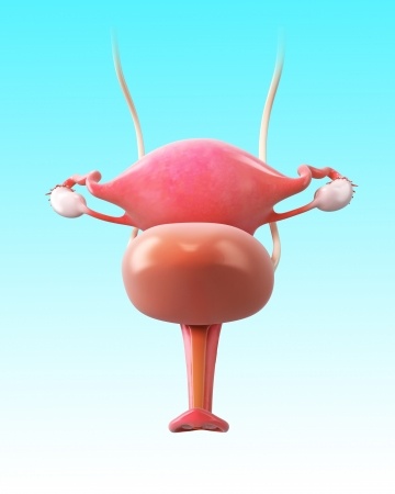 Painful Bladder Syndrome, voiding dysfunction