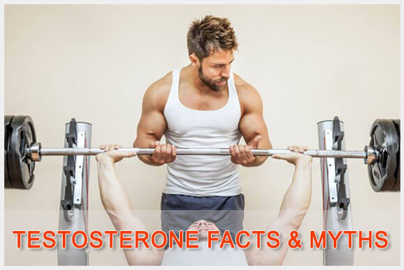 5 Facts and Myths About Testosterone
