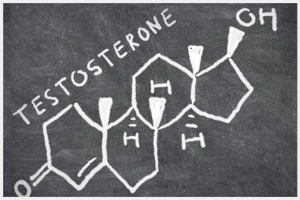 Testosterone Image