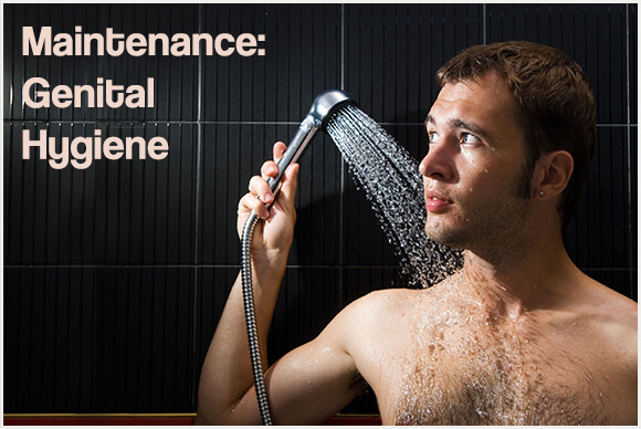 Maintenance | Genital Hygiene