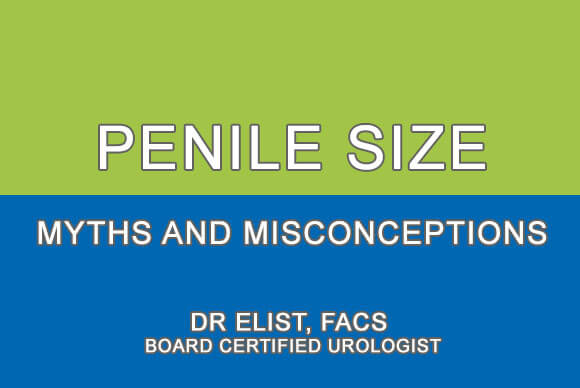 Average Penile Size Myths and Misconceptions | Penile Size Average