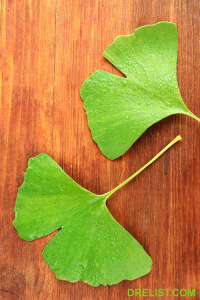 Gingko Biloba image