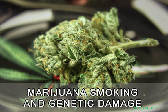 Marijuana Smoking and Genetic Damage