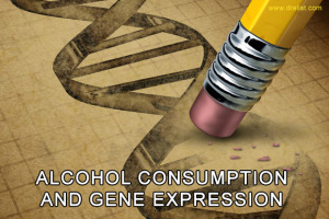 Alcohol Consumption and Gene Expression IMage