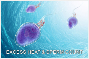 Sperm Count