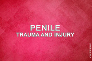 Penile Trauma and Injury Image