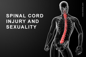 Spinal Cord Injury Image