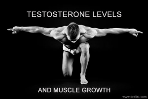 Testosterone Levels Image