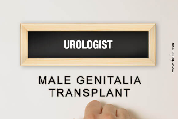 Male Genitalia Transplant