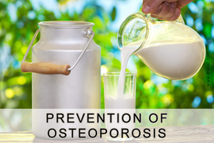 Prevention of Osteoporosis Image