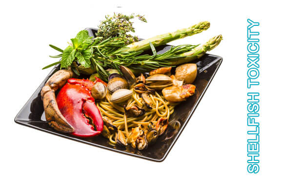 Shellfish Toxicity