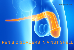 Penis disorders in a Nut Shell image