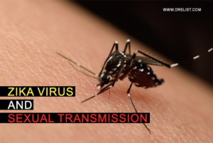 Zika Virus And Sexual Transmission image