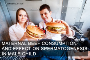 Maternal Beef Consumption And Effect On Spermatogenesis In Male Child image