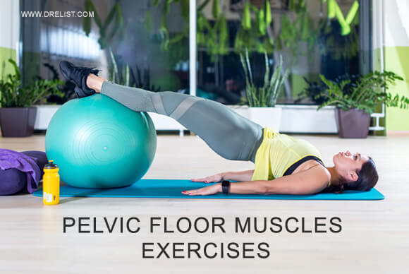 Pelvic Floor Muscles And Exercises