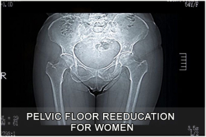 Pelvic Floor Reeducation Image