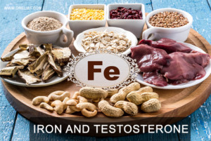 Iron And Testosterone Image