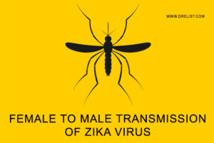 Female to Male Transmission Of Zika Virus image