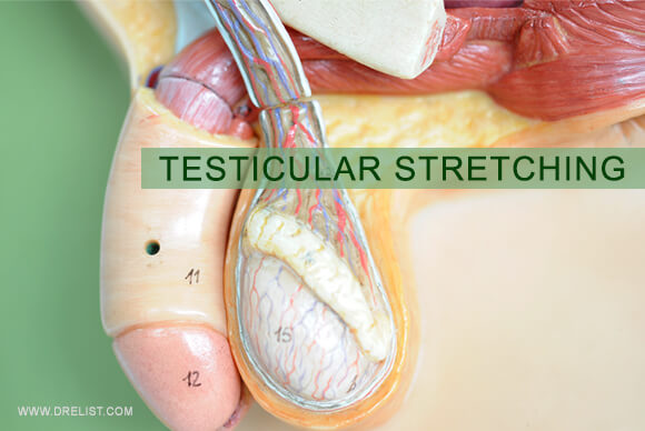 Testicular Stretching