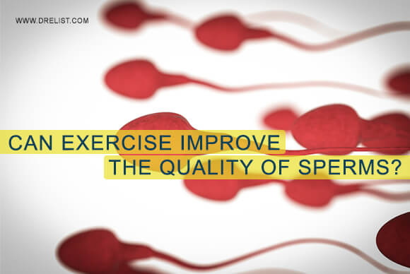 Can Exercise Improve The Quality Of Sperms?