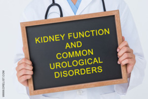 Kidney Function And Common Urological Disorders image