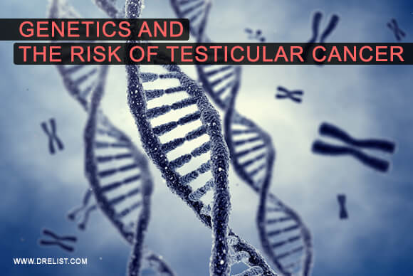 The Role Of Genetics In Increasing The Risk Of Testicular Cancer