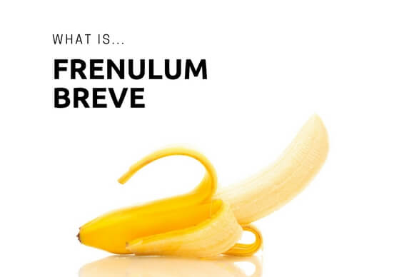 Frenulum breve