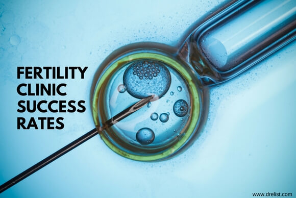 Fertility Clinic Success Rates
