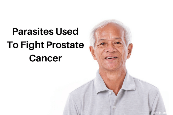 Parasites Used To Fight Prostate Cancer