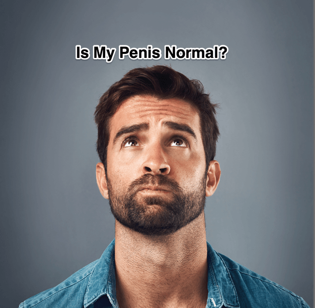Is my penis size normal?