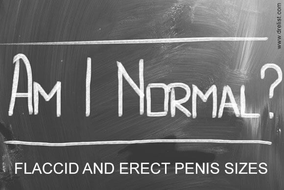 Am I Normal? Flaccid and Erect Penis Sizes