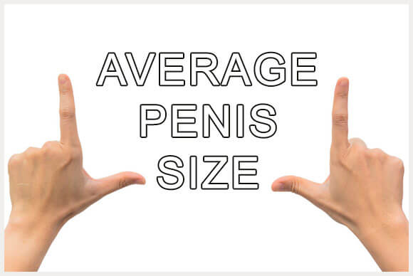 Erect Penis Size | Average Size Revealed