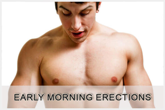 Morning Erection or The Hard (PENIS) Awakening...